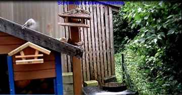 Profi Spy Kamera im USB Stick 720p, incl. externer Powerbank. Max. Speicherkarte 128 GB, bis zu 16 Std Videomaterial. Minikamera, SpyCam, Überwachungskamera, incl 16 GB Speicherkarte -